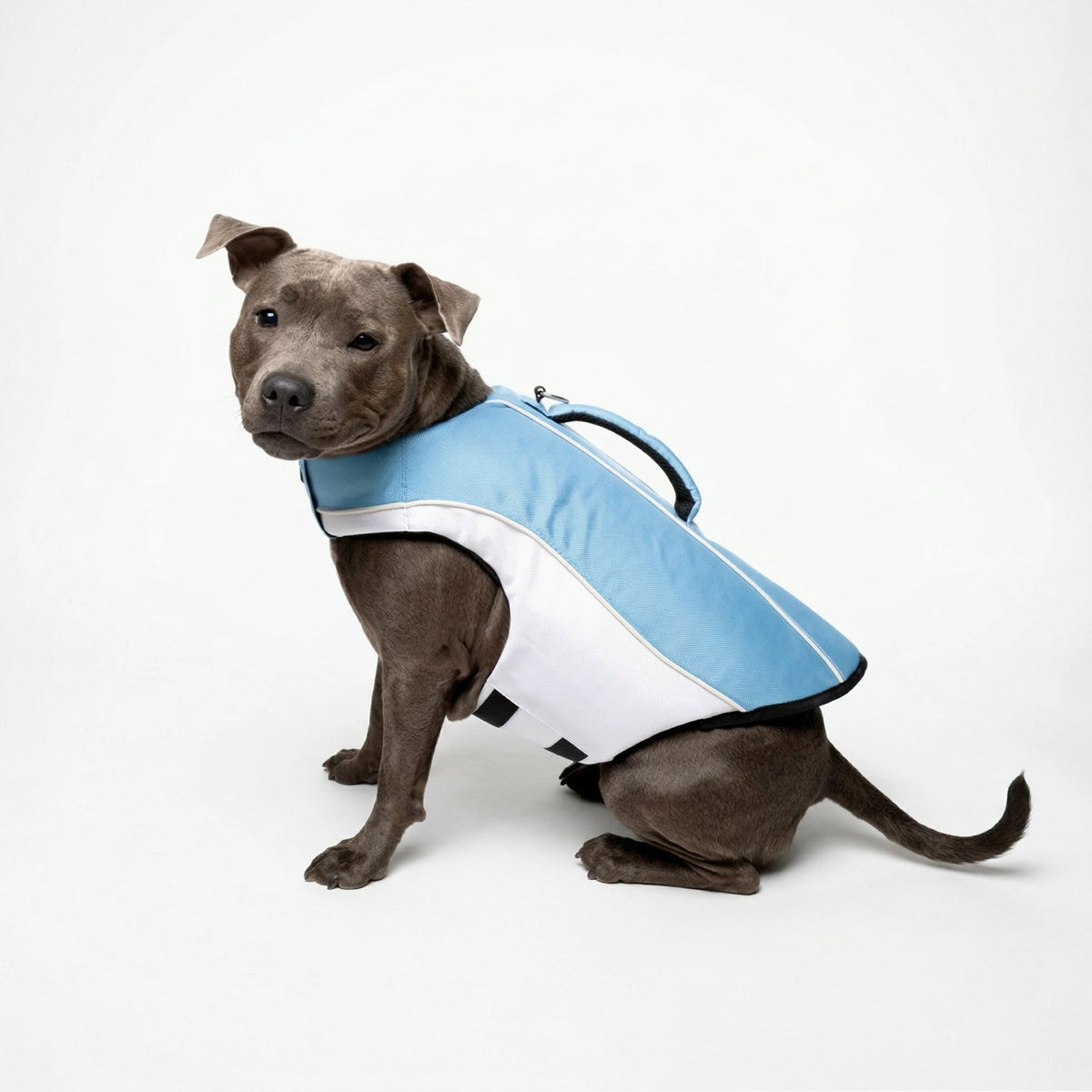 Dog Life Jacket product image 1