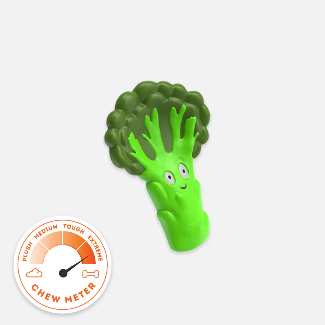 Dog Chew Toy product image 1