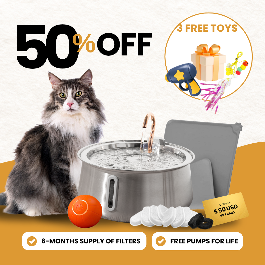 Hydration Playtime Bundle product image 1