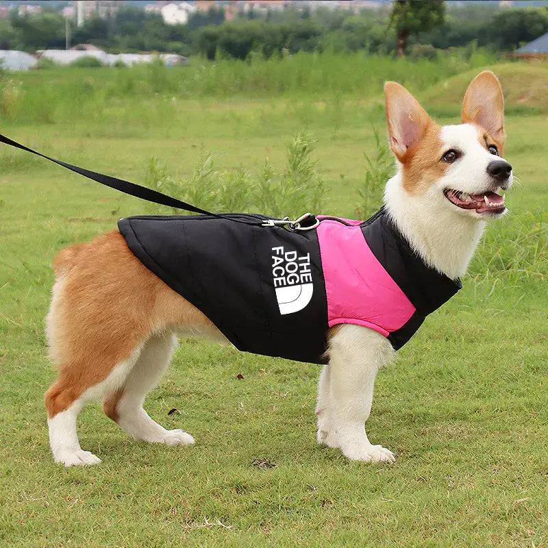 Dog Winter Vest product image 1