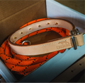 Leather Dog Training Collar product image 1