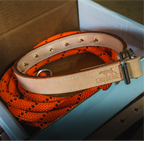 Leather Dog Training Collar product image 1