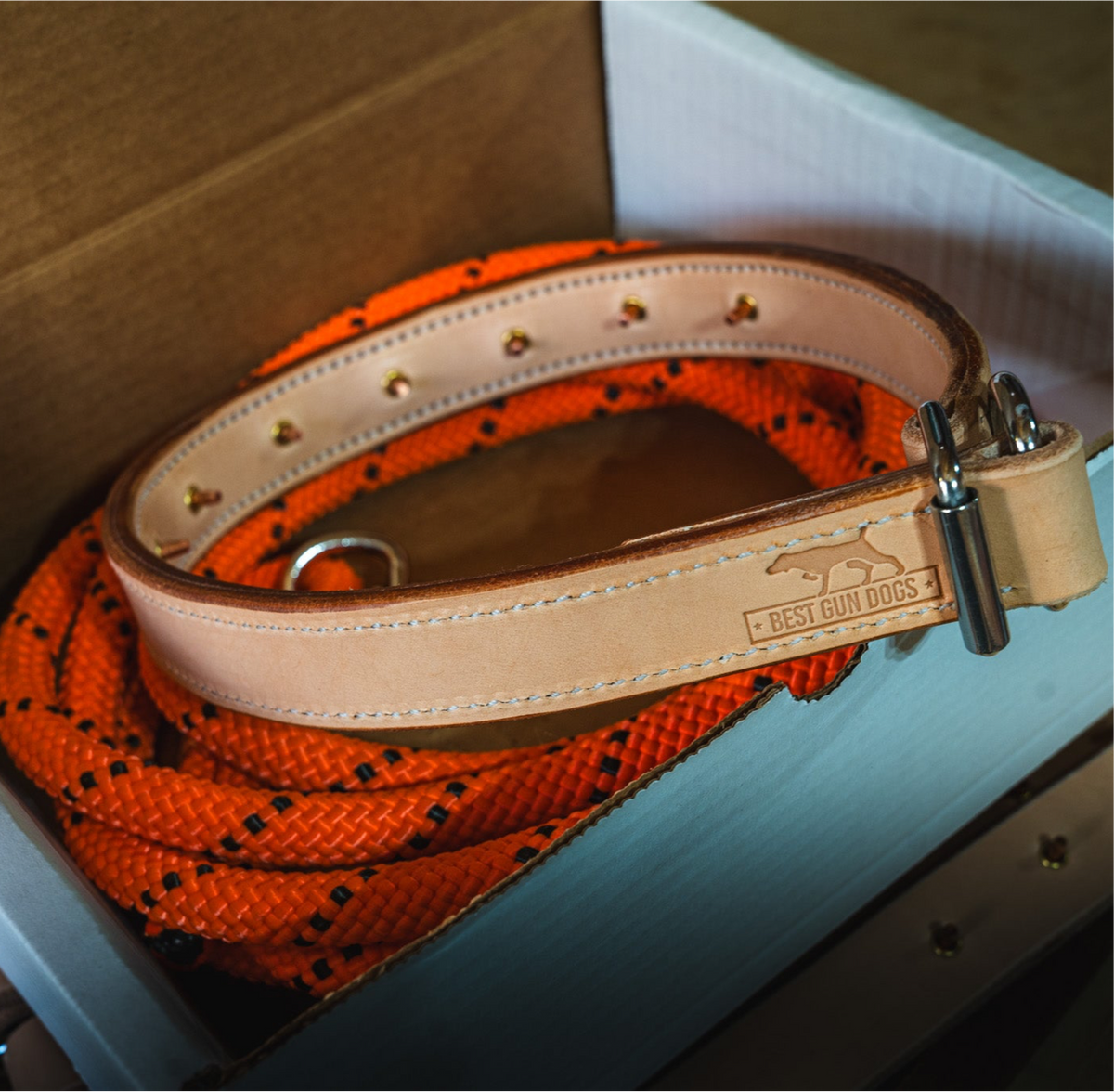 Leather Dog Training Collar product image 1