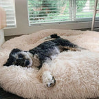 Anxiety Relief Dog Bed product image 1