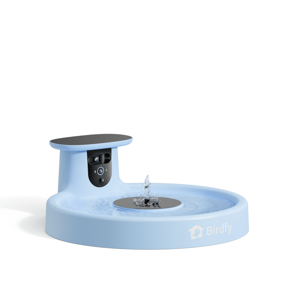 Solar Smart Bird Bath Camera product image 1