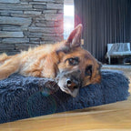 Memory Foam Dog Bed product image 1
