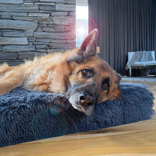 Memory Foam Dog Bed product image 1