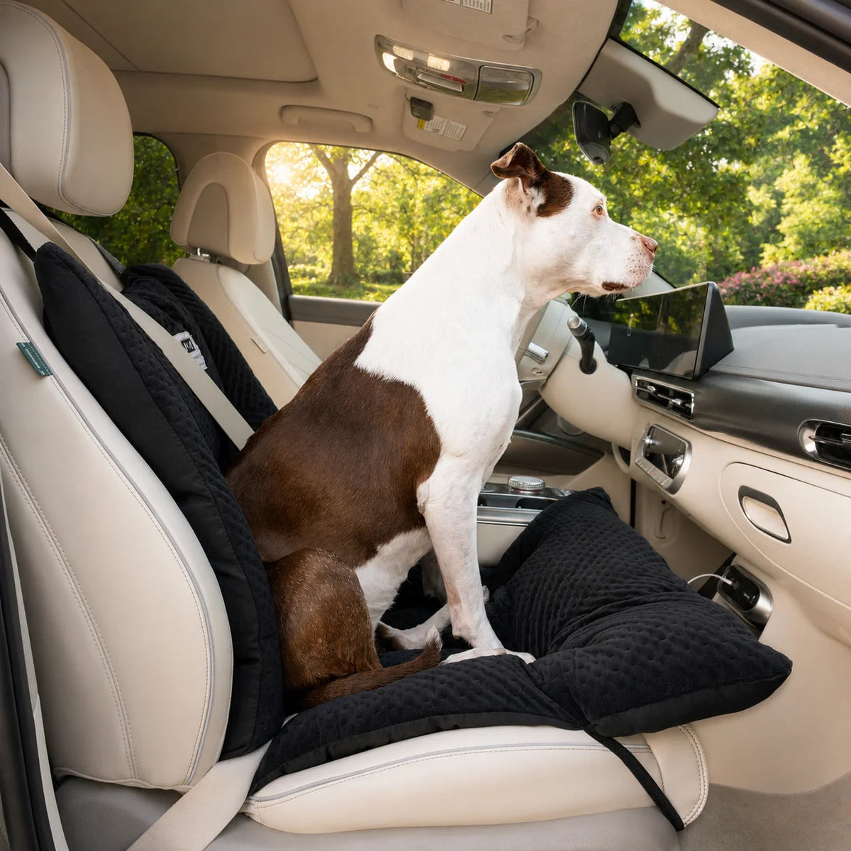 Dog Car Seat Cover product image 1