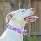 Martingale Dog Collar product image 1