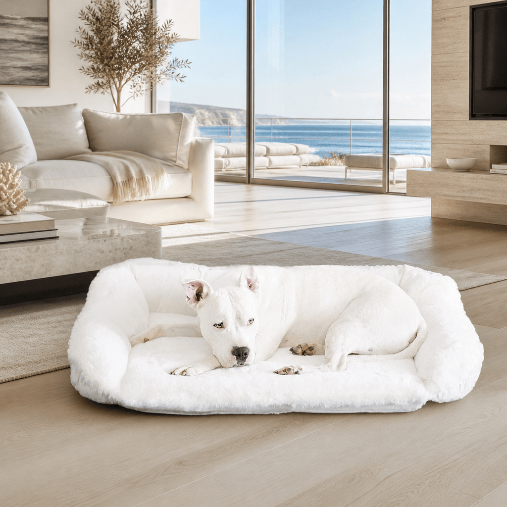 Orthopedic Dog Bed product image 1