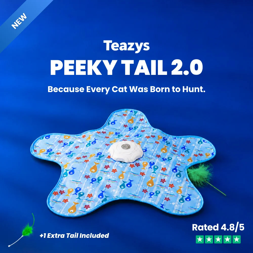 Interactive Cat Toy product image 1
