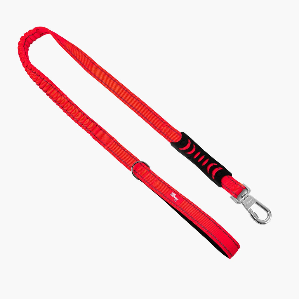 Bungee Dog Leash product image 1