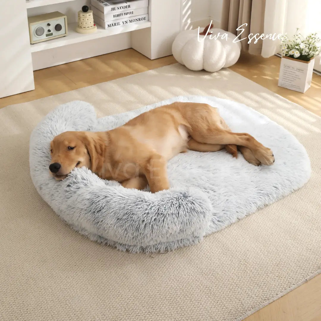 Orthopedic Pet Bed product image 1