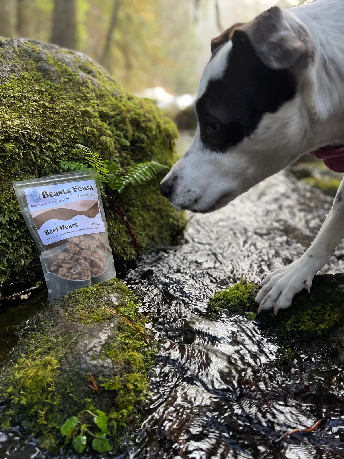 Freeze-Dried Dog Treats product image 1