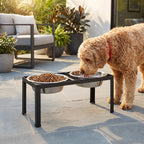 Elevated Dog Bowl product image 1
