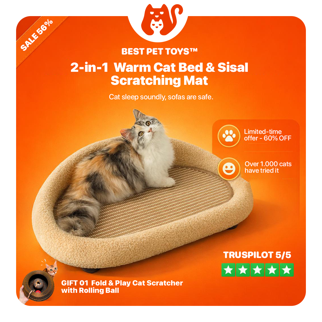 Cat Scratcher Bed product image 1