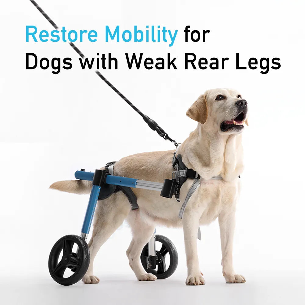 Dog Wheelchair product image 1