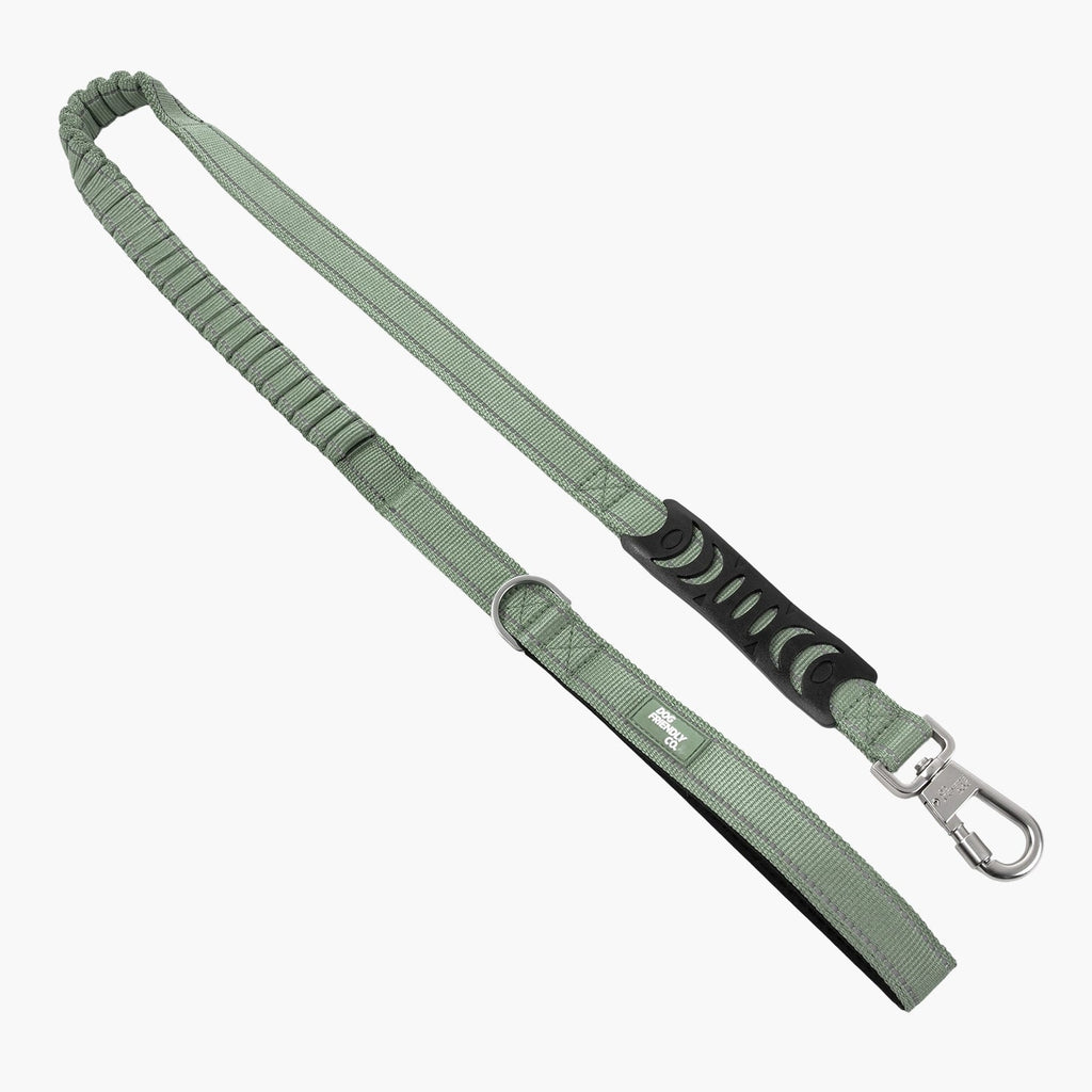 Bungee Dog Leash product image 1