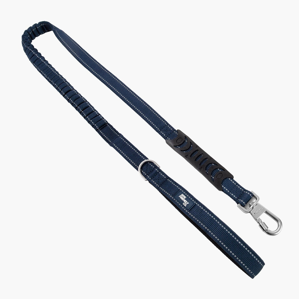 Bungee Dog Leash product image 1