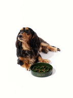 Slow Feeder Bowl product image 1