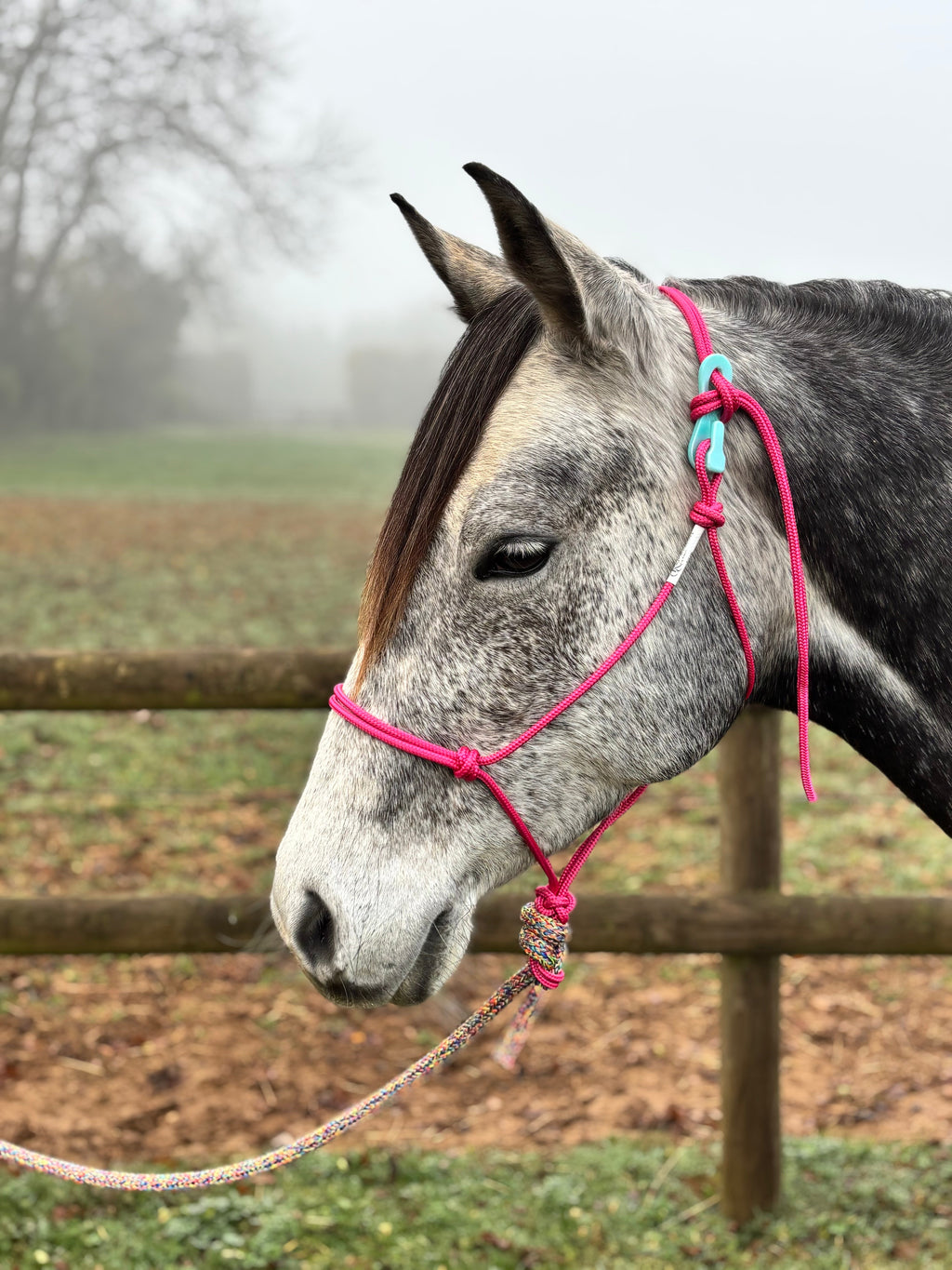 Soft Rope Halter product image 1