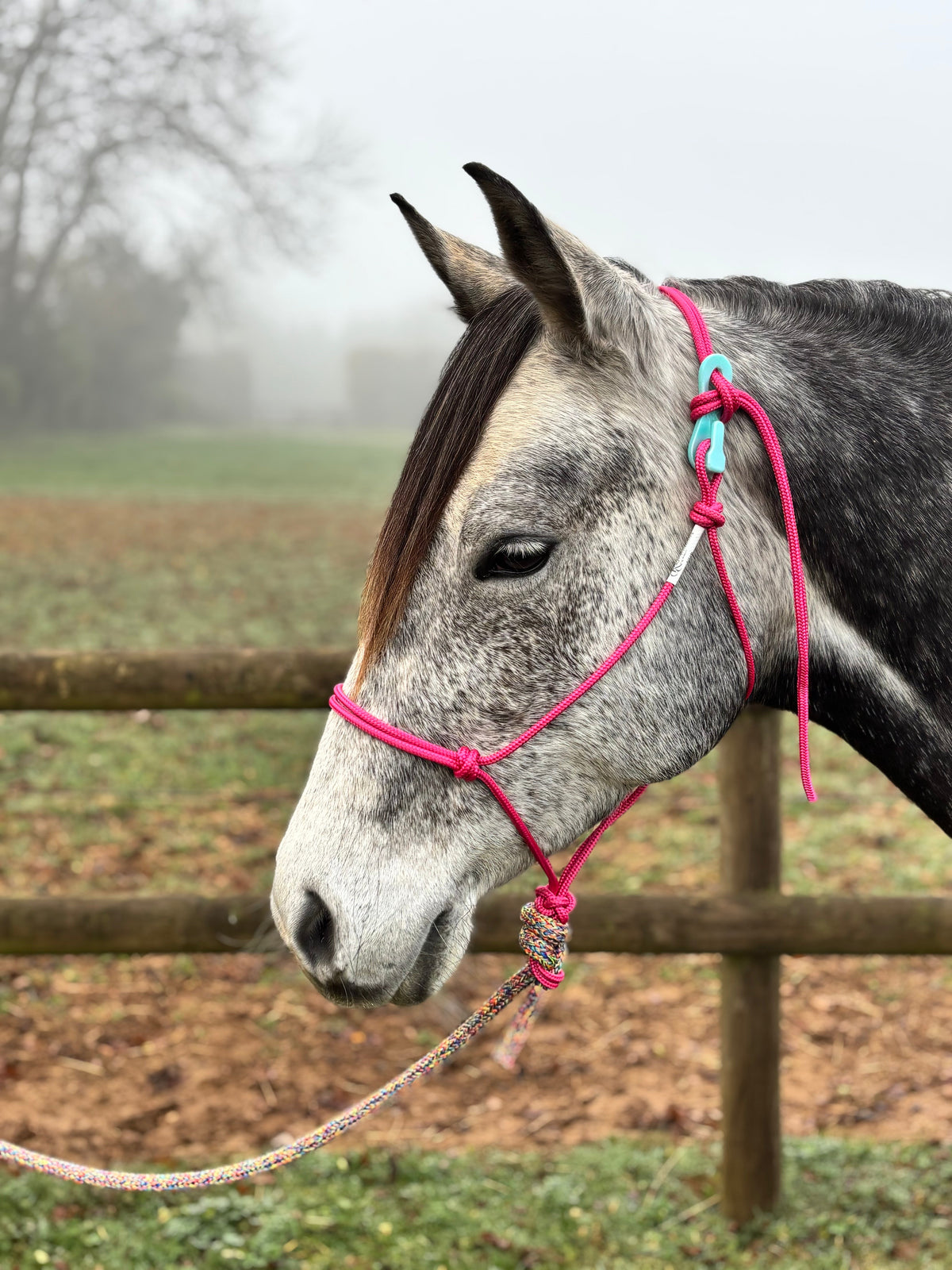 Soft Rope Halter product image 1