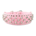 Dog Collar product image 1
