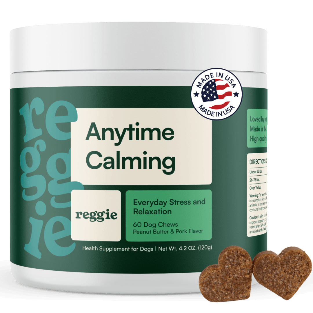 Dog Calming Supplement Chews 1 Jar