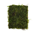 Aquarium Moss Mat product image 1