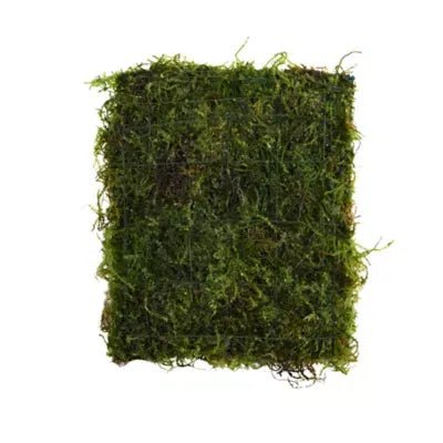 Aquarium Moss Mat product image 1