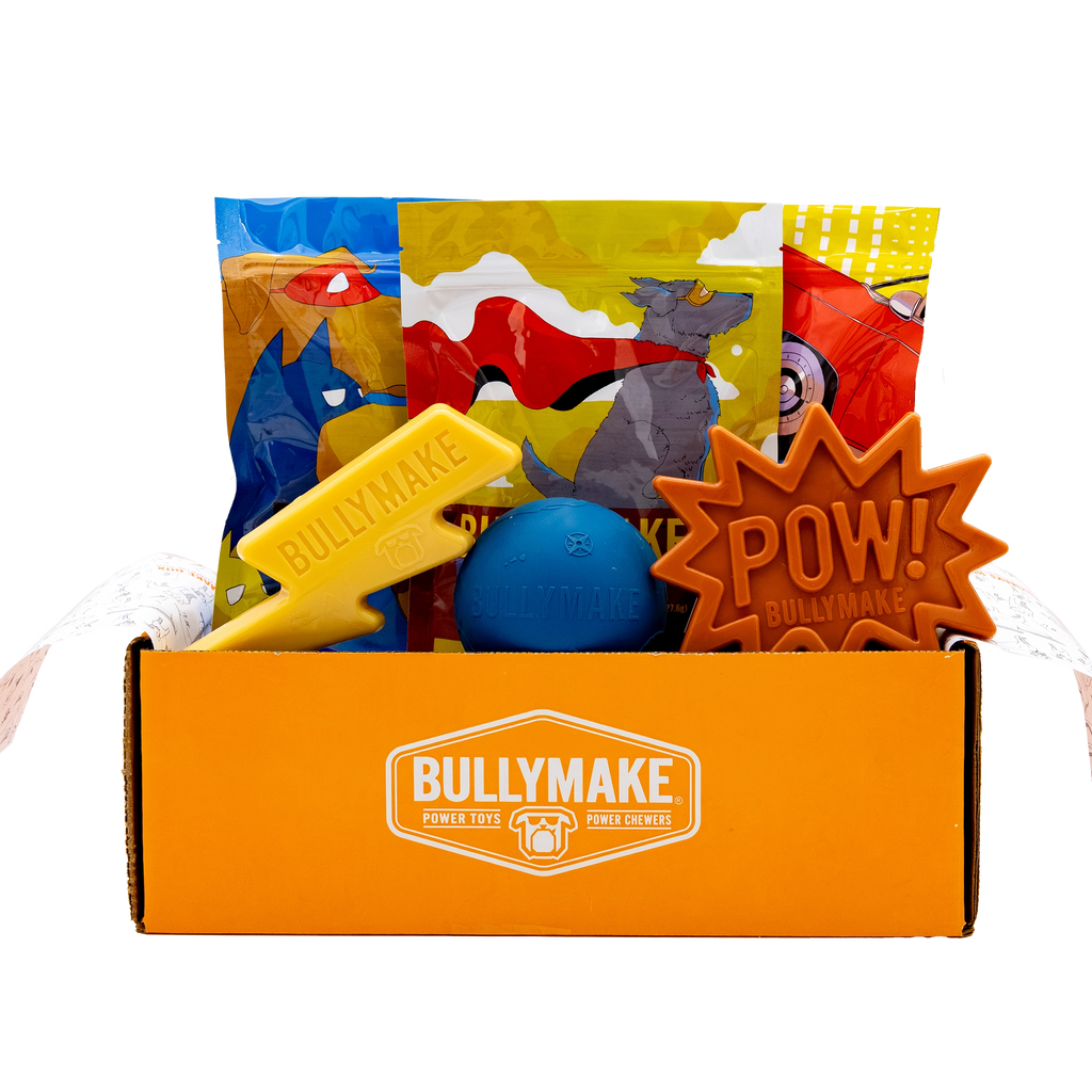 Dog Toy Box product image 1