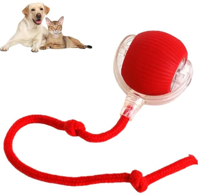 Automatic Rolling Ball Toy product image 1