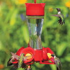 Hummingbird Feeder product image 1