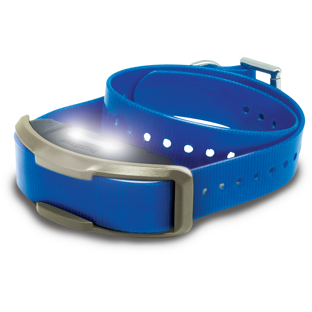 Dog Training Receiver product image 1