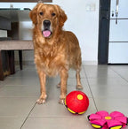 Interactive Dog Toy product image 1