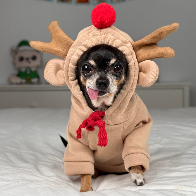 Reindeer Dog Costume product image 1