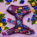 Adjustable Dog Harness product image 1