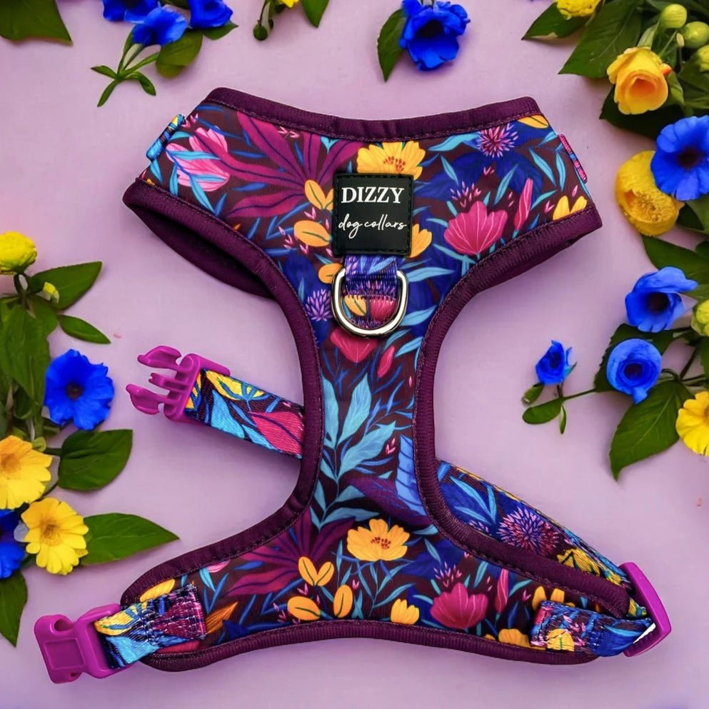 Adjustable Dog Harness product image 1