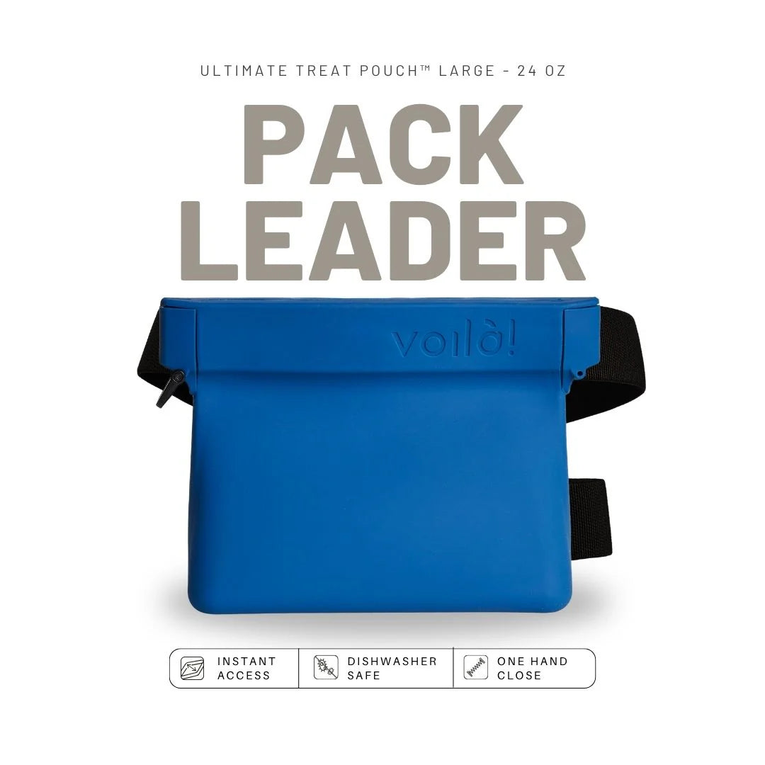 Dog Treat Pouch product image 1