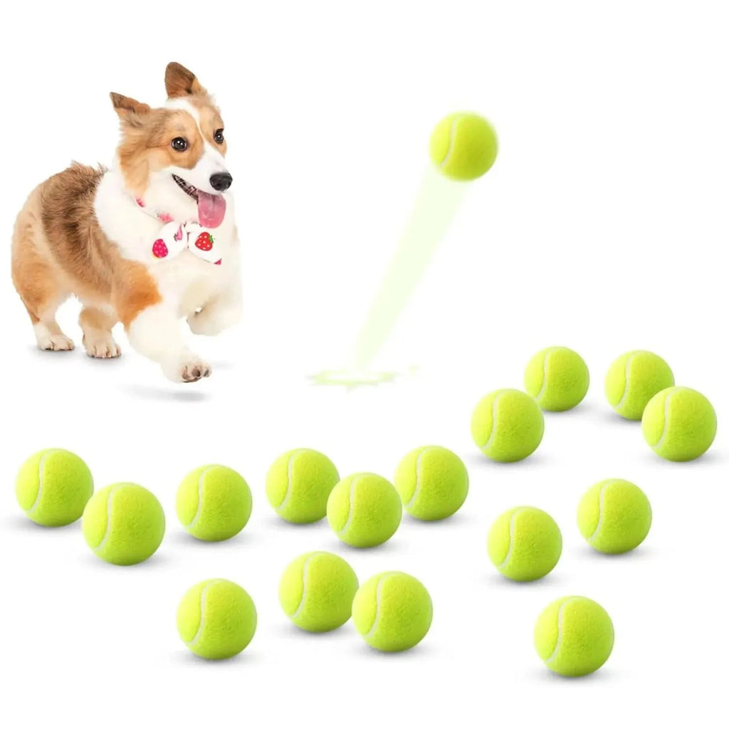 Dog Tennis Balls product image 1