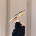 Freeze-Dried Sardine Treat product image 1