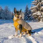 Reflective Dog Vest product image 1