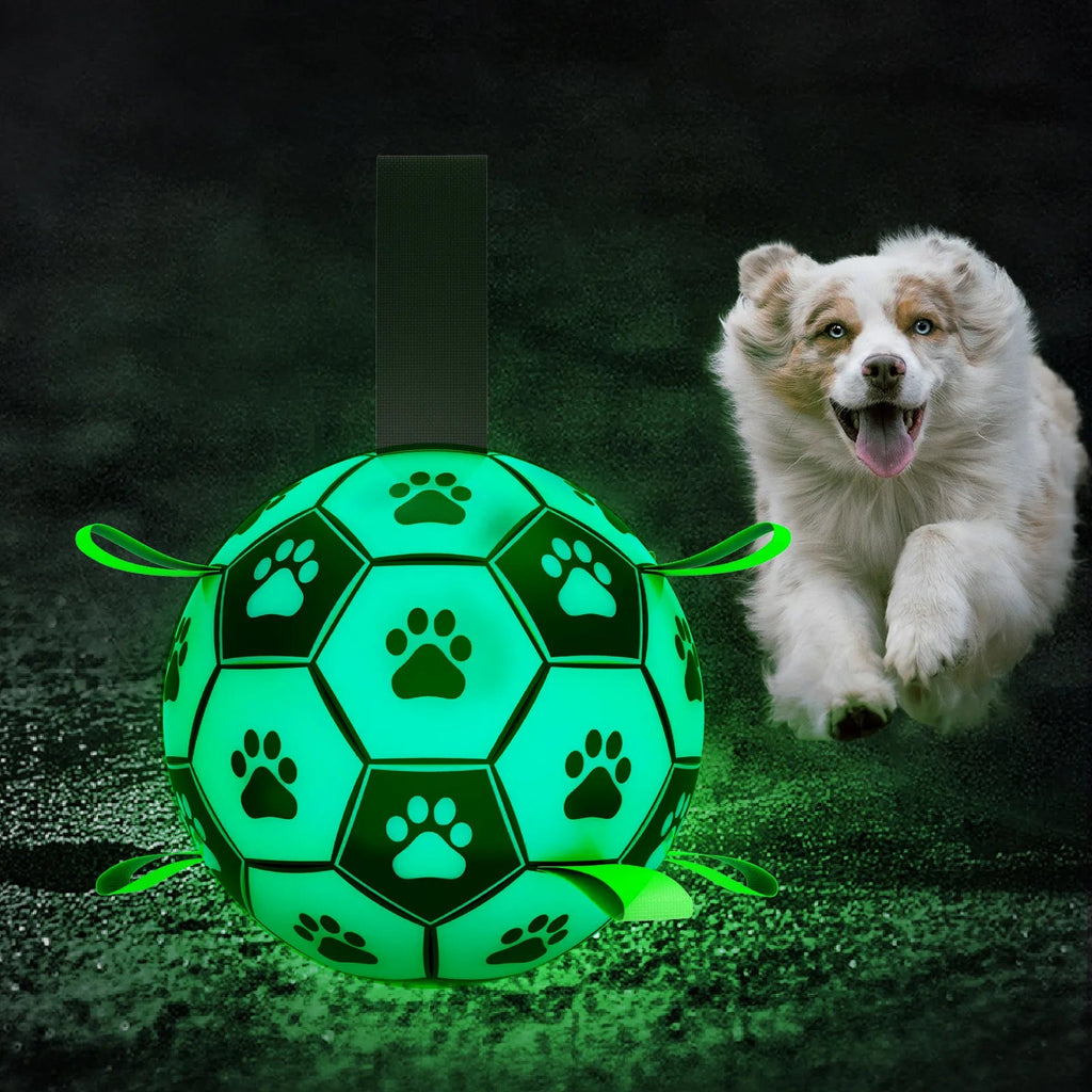 Dog Soccer Ball product image 1