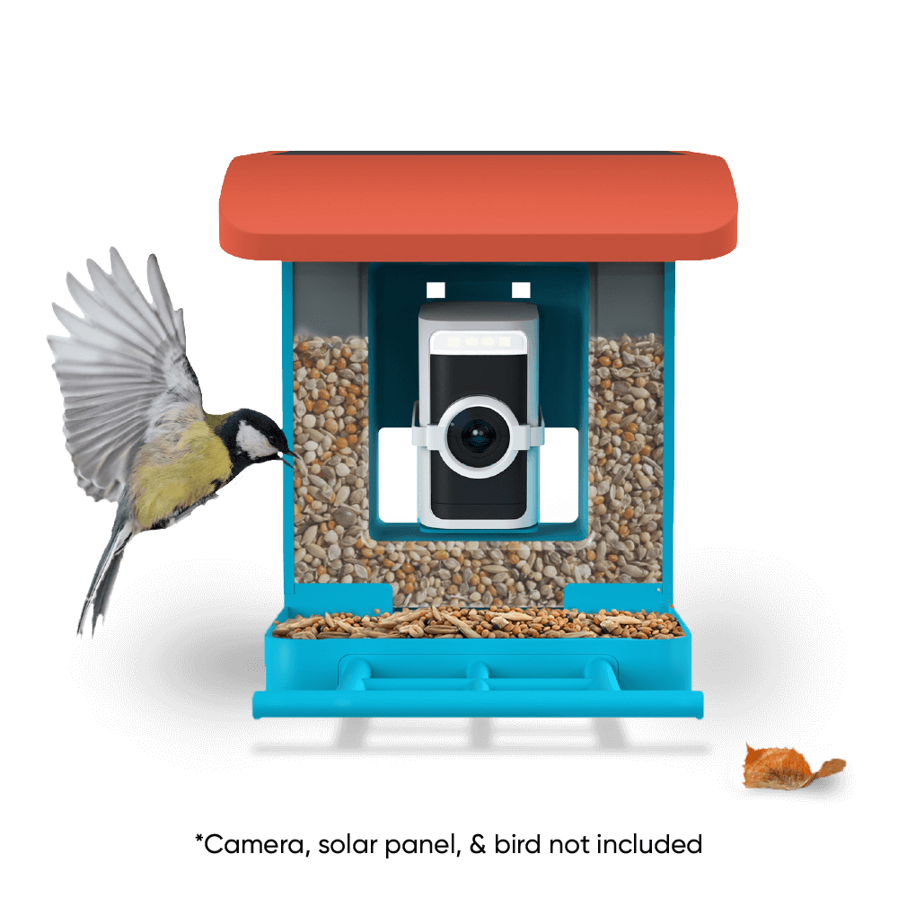 Bird Feeder product image 1