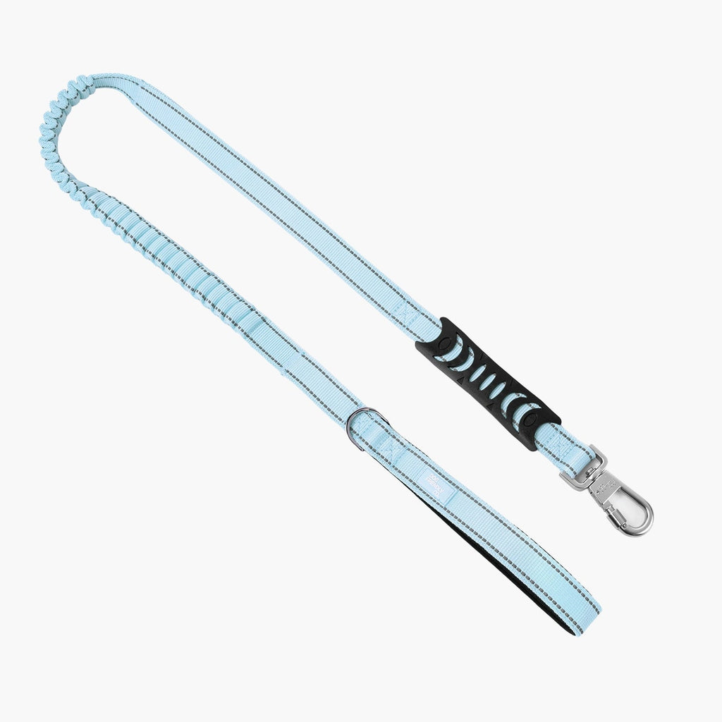 Bungee Dog Leash product image 1