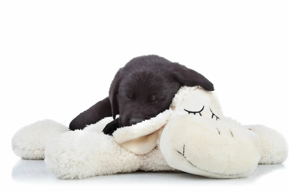 Dog Treats product image 1