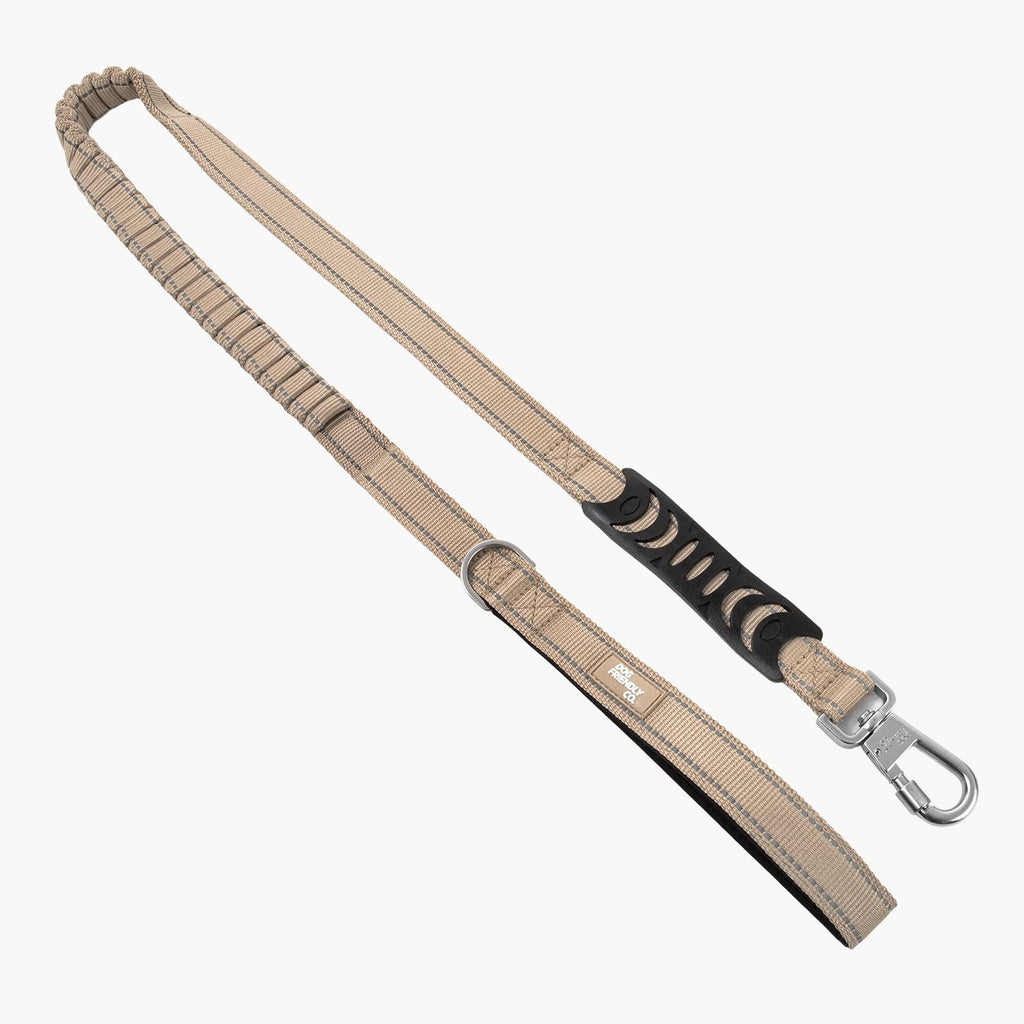 Bungee Dog Leash product image 1