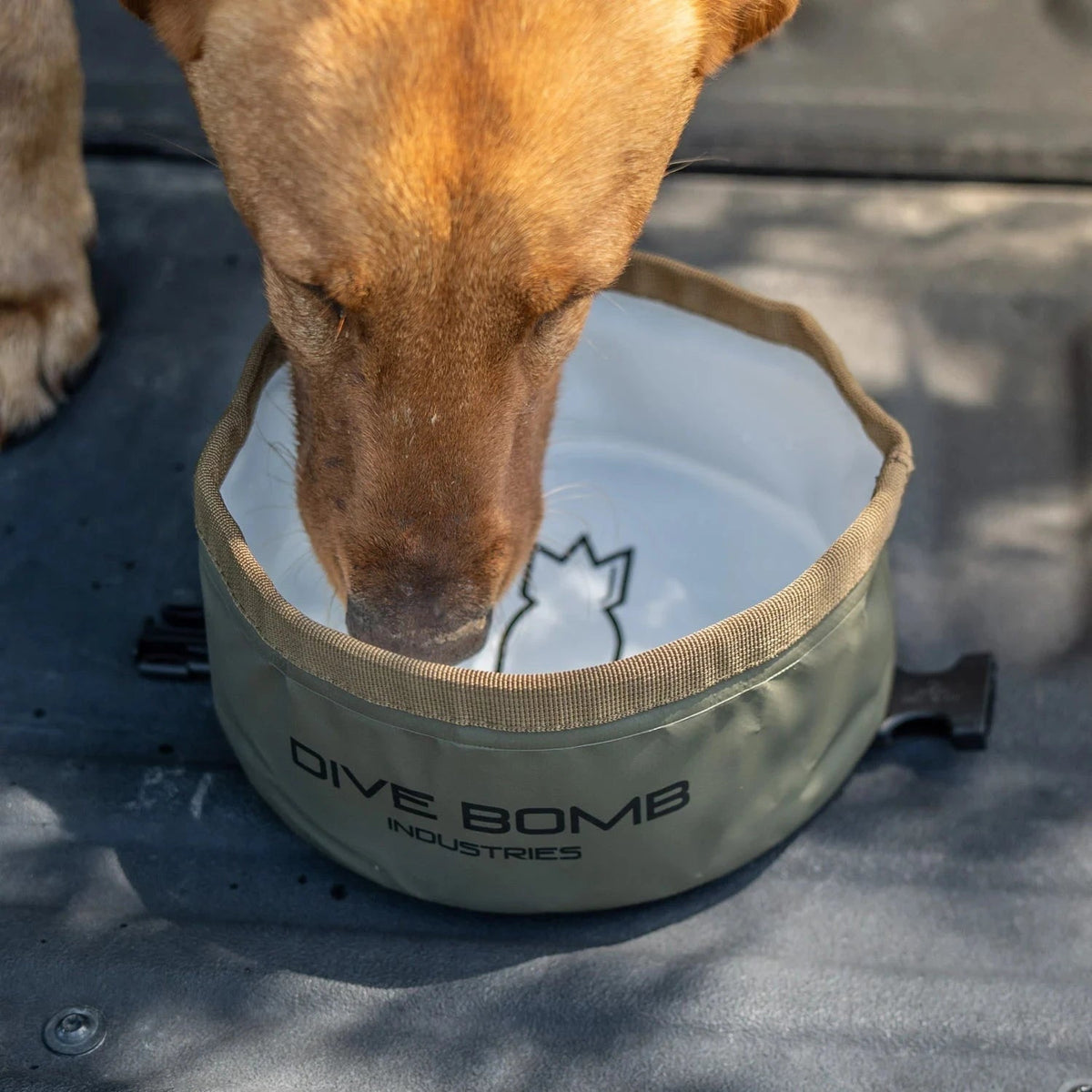 Collapsible Dog Bowl product image 1