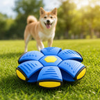 Transforming Pet Toy product image 1