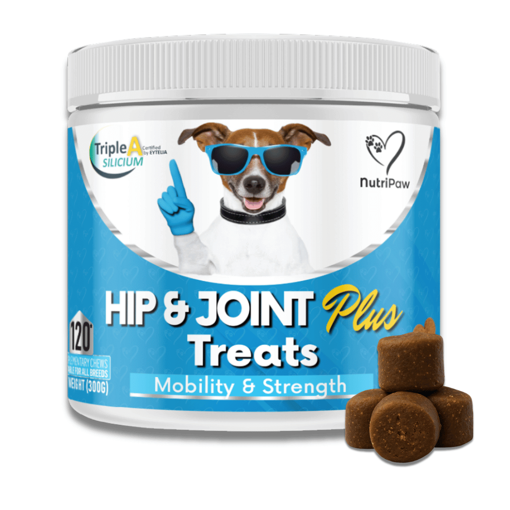 Dog Hip and Joint Support Treats product image 1